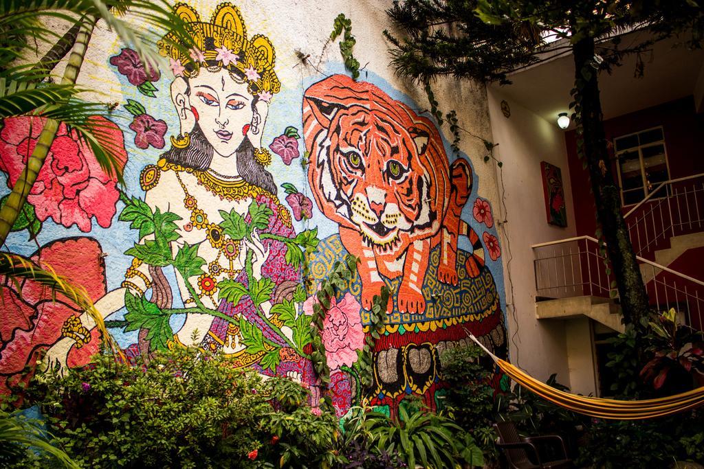 Buddha Hostel Medellín Extérieur photo