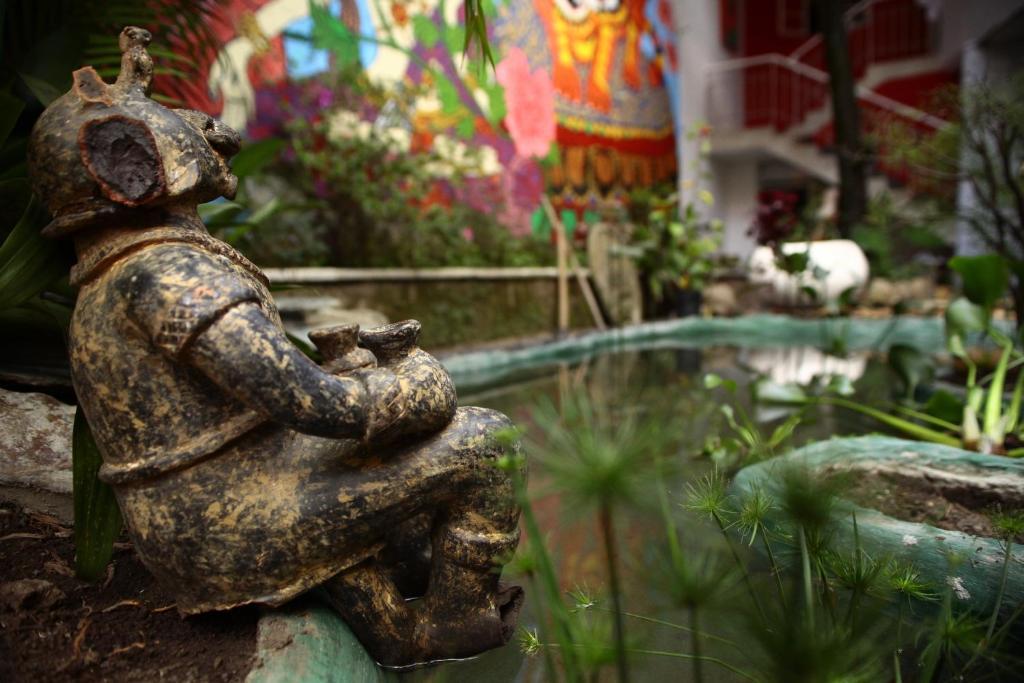 Buddha Hostel Medellín Extérieur photo
